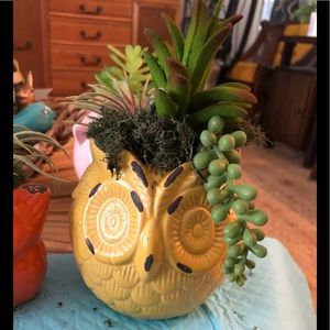 YELLOW OWL WITH PLANT